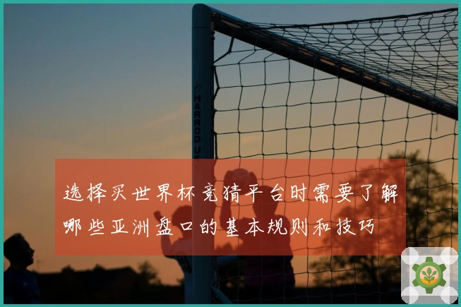 选择买世界杯竞猜平台时需要了解哪些亚洲盘口的基本规则和技巧