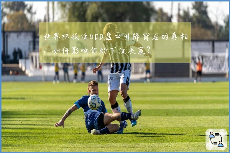 世界杯投注app盘口升降背后的真相，如何影响你的下注决策？